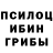 Псилоцибиновые грибы Cubensis Bisma Jan