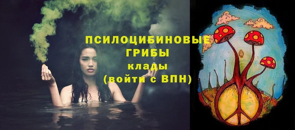 ешки Новокубанск
