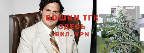 бошки Новодвинск