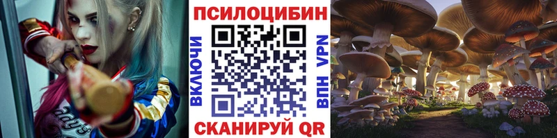 Псилоцибиновые грибы Psilocybe  Чебаркуль 